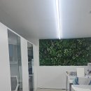 에스더블유팜(주) | 노무사 수험생의 더블에스관리형스터디카페 첫 후기