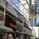 국제키즈태권도 이미지