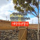 제주청년살이 네이버블로그