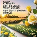 행복한 하루 이미지