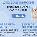 오르헬스케어 이미지