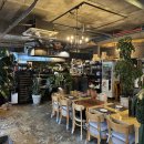 뻬뽈리(peppoli) 이미지