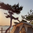 트렌드피크