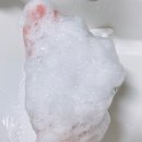 닥터워시 이미지