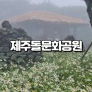 제주 돌문화공원, 제주도의 숨은 명소
