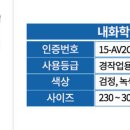 인더스주 이미지