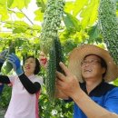 함양물레방아떡마을영농조합법인 | 함양군, 제4회 여주농촌문화축제 개최
