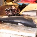 제주민속오일장 이미지