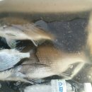 갯바위펜션 이미지