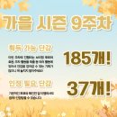 행정10 | [25, 가을 시즌 10주차] 🚀오랑캐 행정 결산 후기🚀