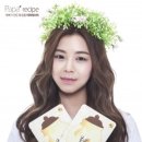 파파누리 이미지