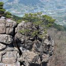 신선천 | 구재봉.(경남 하동) 풀잎산악회