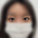 [원주 속눈썹펌] 유지력 맛집 "브로우바바" 솔직 후기