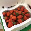 삼익농장 이미지