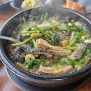 동의보감자동차 | 내수읍 맛집 한가네한우내장탕 혼밥 후기