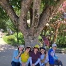 아산봉곡사 외암민속마을(배석홍님) 이미지