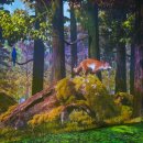 원더파크 이미지