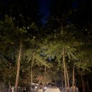 비발디캠핑파크 | 20260711~20260712 1박2일 홍천 비발디캠핑파크 이용 후기 (캠핑 시즌 아웃)