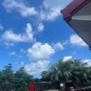 모아니스테이 이미지