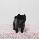 멍뭉이 미용실 이미지