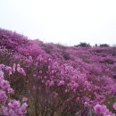 버스정류장 07-259 이미지