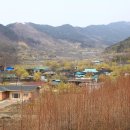 달전시목지 티스토리
