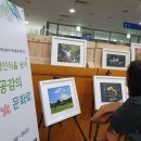 희망의 꽃 이미지