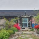 태백산정육점