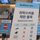 1241 | 제주도 항공권 추천(밤비행)- 대한항공 KE1241 이용 후기
