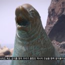 독도문화산업