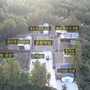 수지네카페