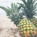 파인애플 이미지