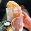 돼지펜션 | 홀릭뮤지엄&gt; 오설록티뮤지엄&gt; 동광리 수국길&gt; 어린왕자감귤밭&gt; 사계흑돼지&gt; 힐링스파펜션 상세 포토후기