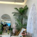 에이쓰리(A3) | 강원도 양양 하조대 카페 A3 CAFE(에이쓰리커피)