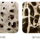못골당 티스토리