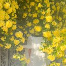 명곡동908 이미지