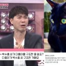 다홍 이미지