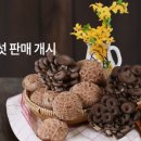상원영어조합법인 이미지