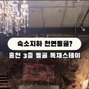 홍천 독채 펜션 호흘!(feat. 오늘의숙소)