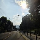 안토(Anto) | (호텔) ANTO 안토 (구 파라스파라) 캐빈 주니어 키즈 숙박 후기