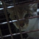 아람광고 - 동대문구 한천로17길 21 | 아람광고