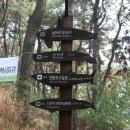 솔마루길 신선산 이미지