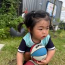 예일농장 이미지