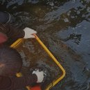 솔골농장 이미지