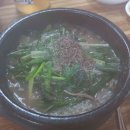 스타벅스커피춘천석사DT점 이미지