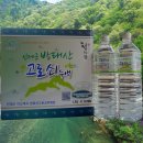 미산고로쇠협동조합 네이버블로그