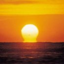 (유)동 호 이미지