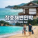 장호해변민박 삼척 장호항 숙소 예약 꿀팁과 스노클링 명당 후기