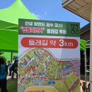 고고오락실 안성점 | 🌿 안성 팜랜드 방문 후기