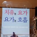 Spine자연치유요가센터